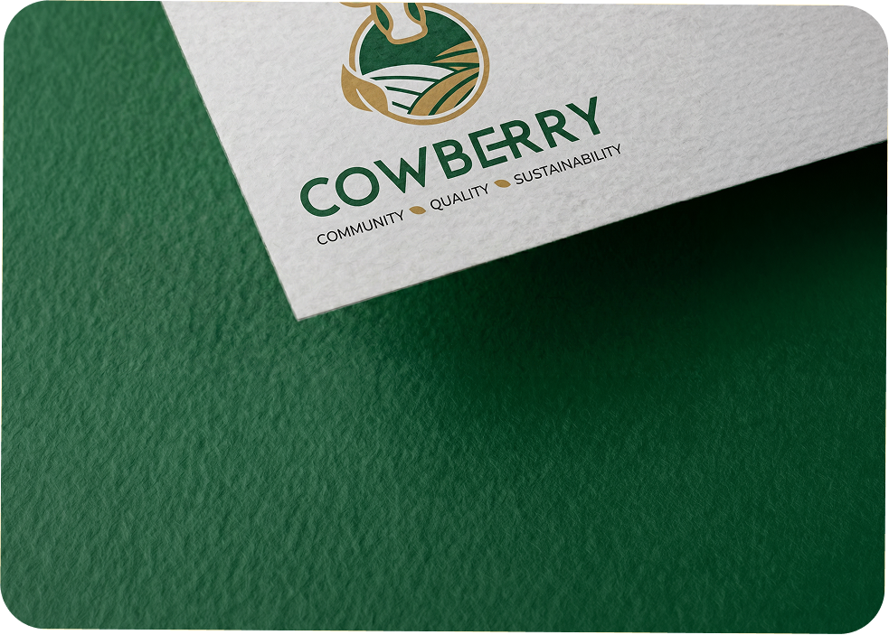 Logo design and variations